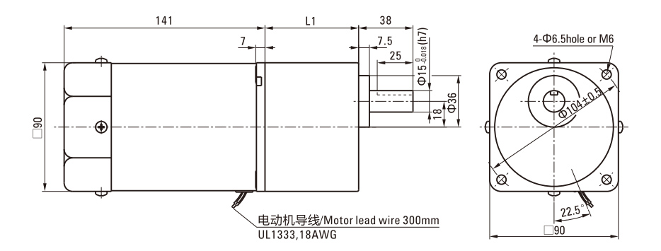120W Induction AC Motor/Gear Motor drawing
