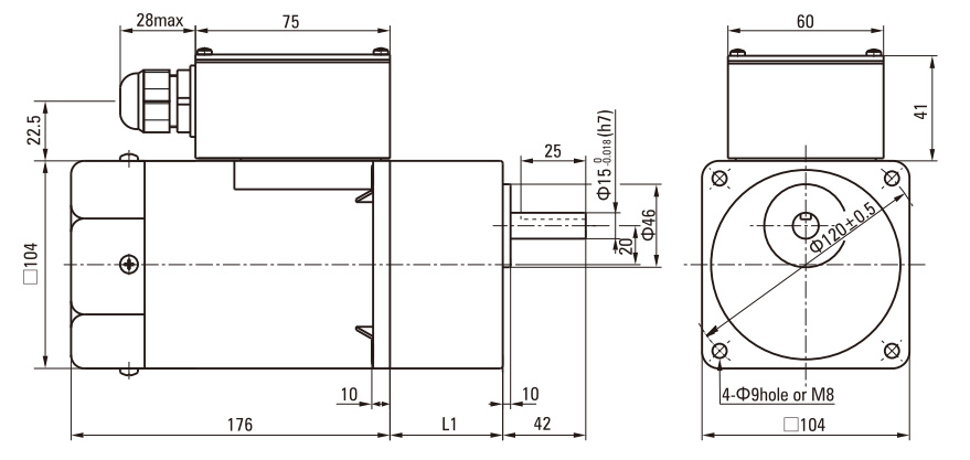 200W Induction AC Motor/Gear Motor drawing