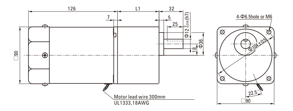 60W Induction AC Motor/Gear Motor drawing