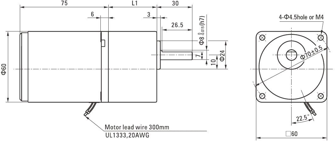 6W Reversible AC Motor/Gear Motor drawing