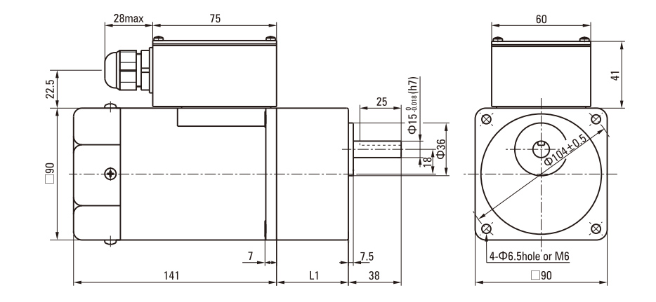 90W Induction AC Motor/Gear Motor drawing