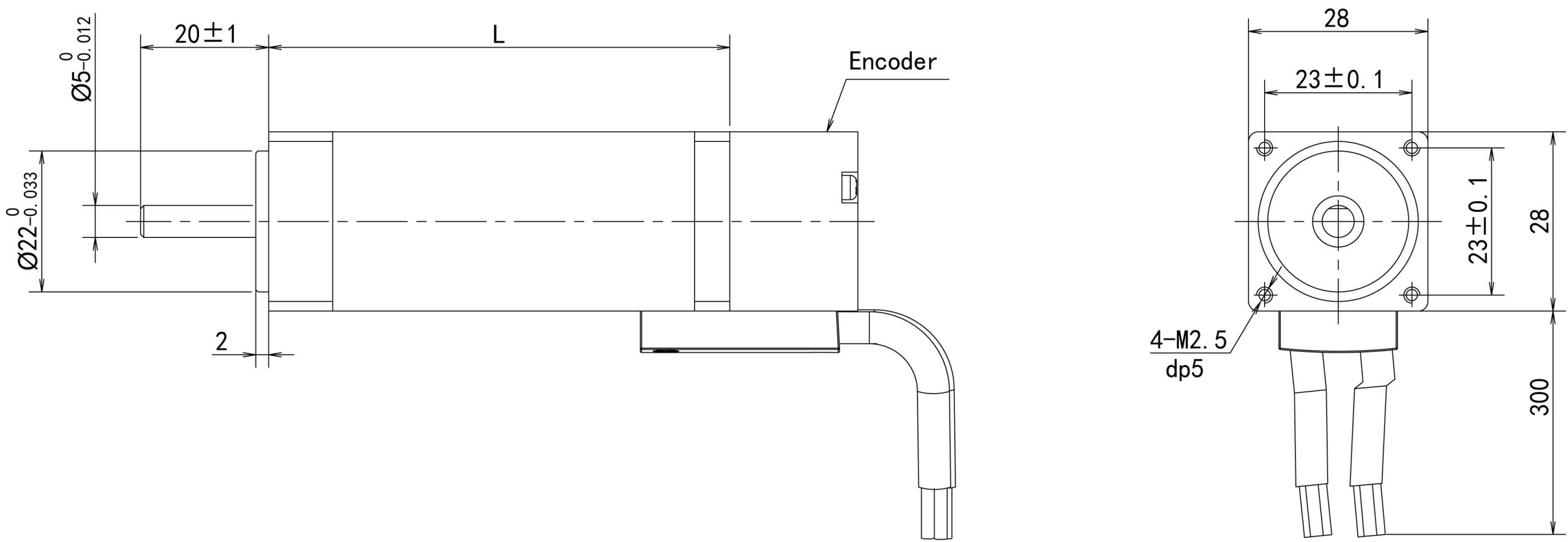 11SYNE Dimensions